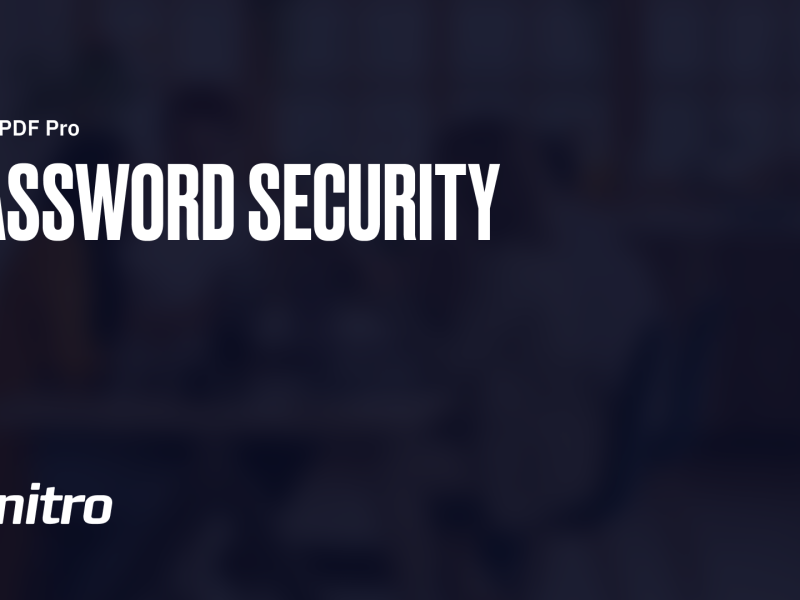 Nitro Pro v14 - Password Security.png