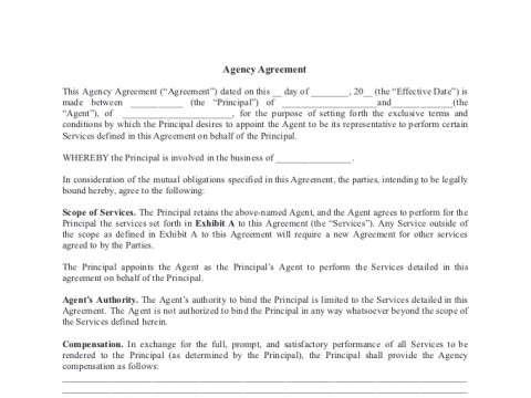 PDF Template - agency agreement template
