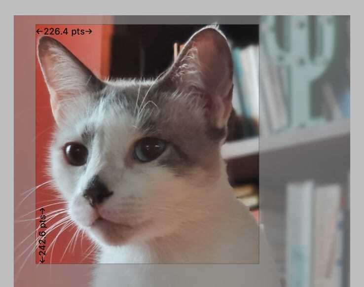 edit-PDF-image-2-1