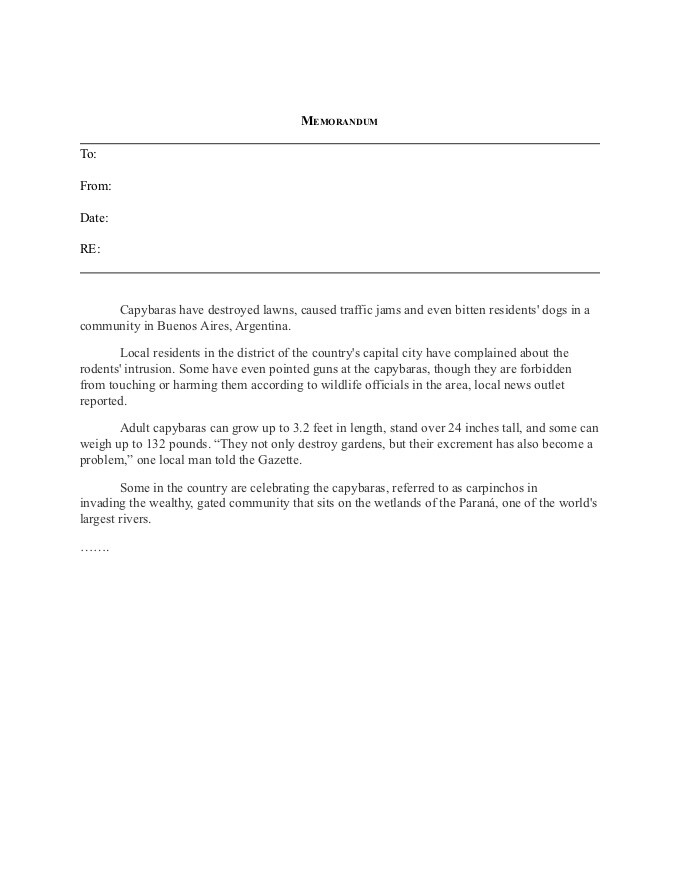 PDF Template - sample memorandum