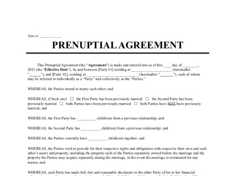 PDF Template - prenuptial agreement template