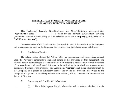 PDF Template - intellectual property agreement template