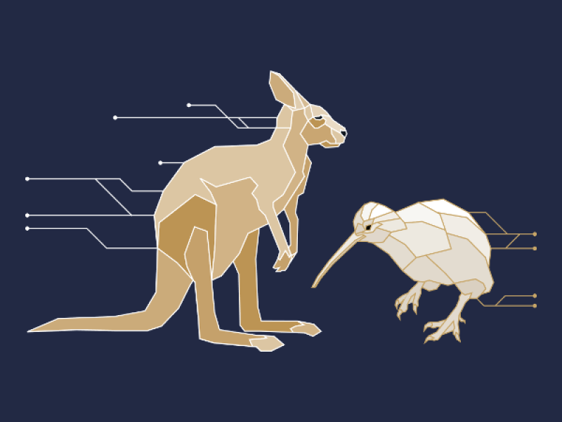 kangaroo-kiwi-2.png