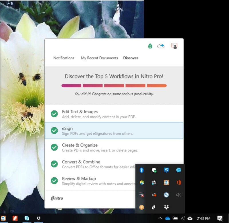 Nitro Pro - STA - 4.jpeg