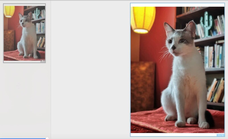 edit-PDF-image-1-1