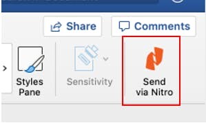 Nitro Sign_Microsoft Word-2.jpg