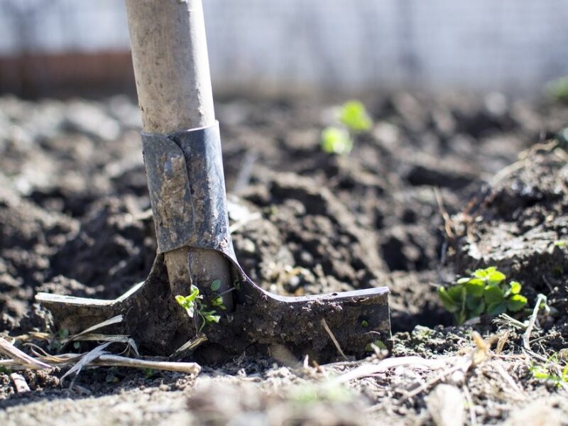 earth-day-shovel.jpeg