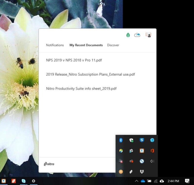 Nitro Pro - STA - 2.jpeg